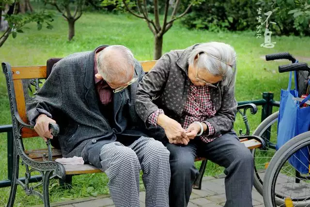对付属鼠的人最多方法：怎么与属老鼠的人打交道