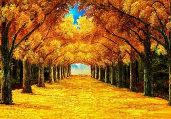 5、请帮我断一下泽水困这卦，主要测自己的运势，财运，没有动爻，十分感谢