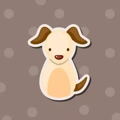 属虎为什么一直都不顺利，属虎今年有一难能过吗