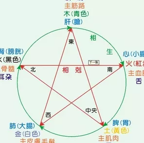 甲乙丙丁对应的五行:天干地支分别对应五行什么啊