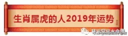 022年農曆七月的虎寶寶好嗎，2022年農曆六月的虎寶寶好嗎"