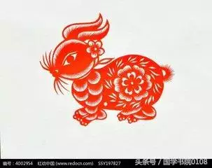 屬龍女的命運和婚姻，屬龍女幾月出生命更好