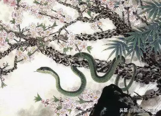 屬蛇的今年財運如何，屬蛇人今年的運氣財運