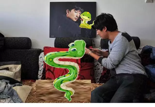 鼠和蛇父子好不好,蛇爸生鼠寶寶好不好