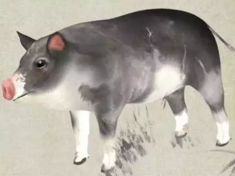 971年屬狗的是什麼命，生肖馬命中有兩大貴人"
