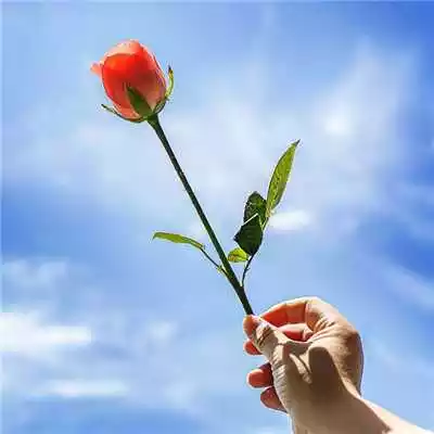 4、寓意好的微信名:寓意好的英文微信昵稱有哪些？
