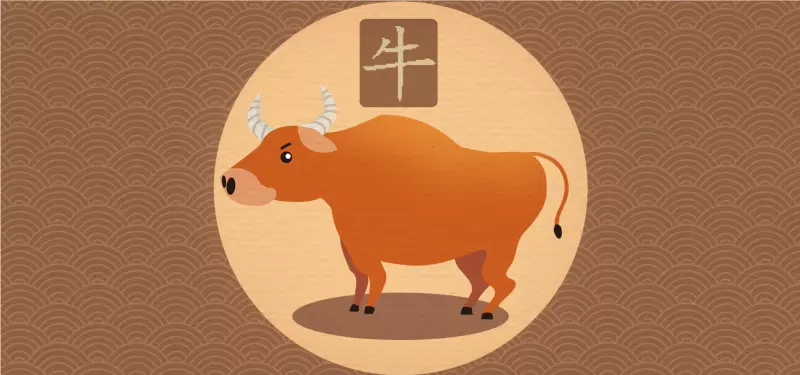 3、牛羊婚姻是否相配:聽說牛羊相衝,不適合做夫妻是真的嗎?