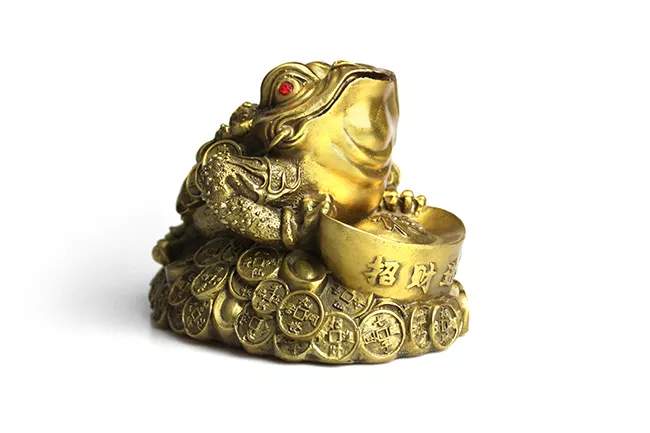 7、金龟脱壳运势如何:金龟脱壳运势如何，包含什么含义
