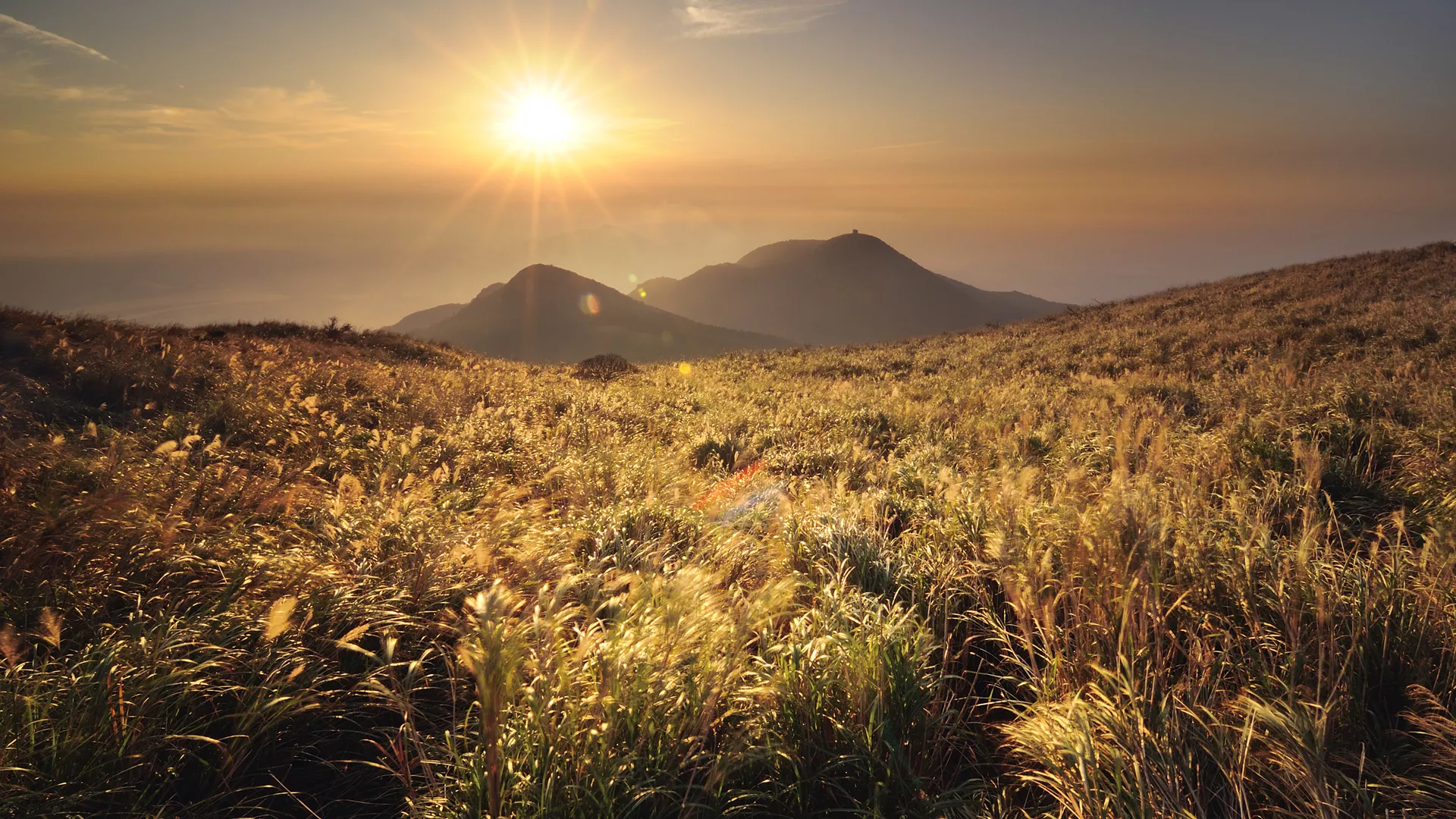 1、屋门口烧一根香:在门口烧一根香是什么意思