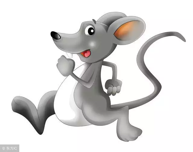 986年几月出生的虎最苦命，属虎的几月出生更好命"