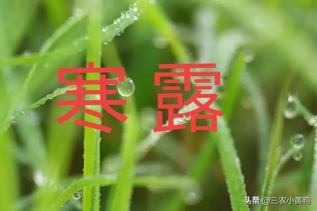 2021年农历九月五行属什么 2021年农历九月五行属什么