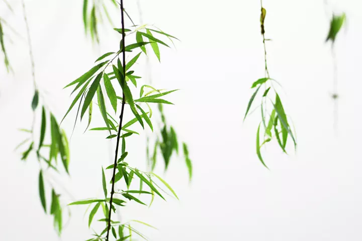 易奇八字准不准