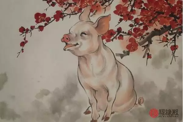 1年属猪51到52岁好运气，十二生肖与人生运势"