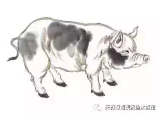 022年下半年最倒霉的生肖,2022年最倒霉的生肖女"