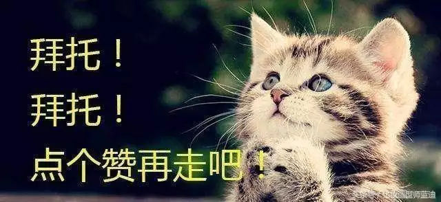 今年我的財運如何，2022 年十二生肖每月運程