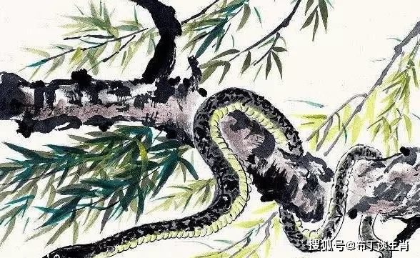 7、属蛇的婚姻伴娘属什么属相好:结婚女方属蛇，用什么属相送亲合适