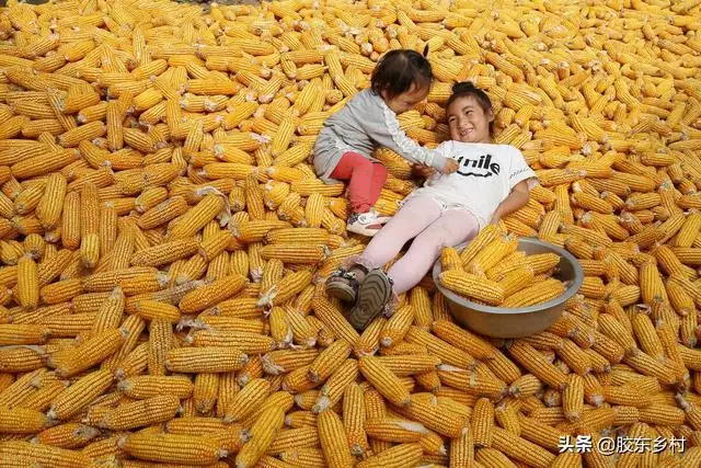 022年不生几月虎，2022年虎年生子不宜几月"