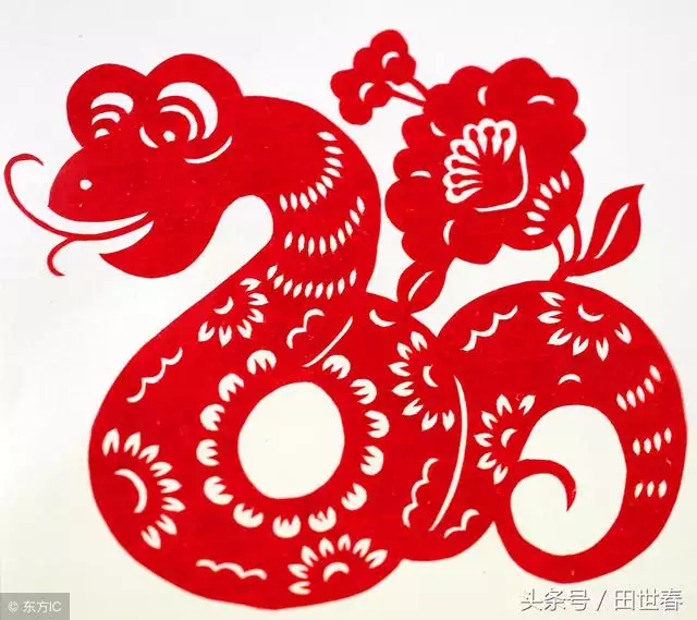 生肖运程2021年每月运势