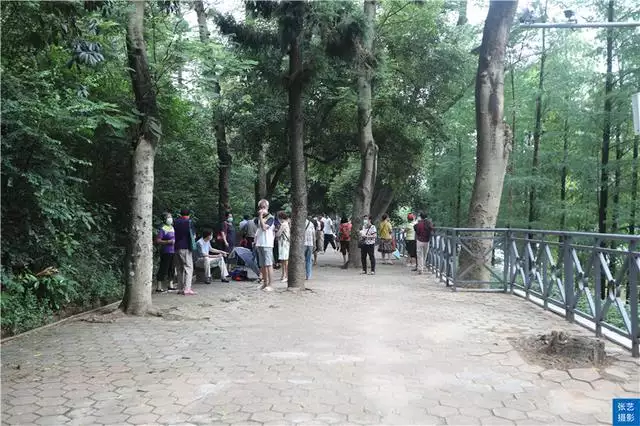 北京哪個公園有相親活動，北京菖蒲河公園相親