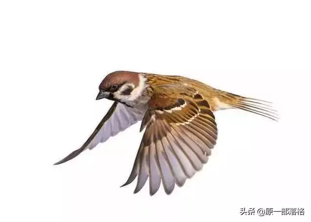 未來三個月運勢,最近三個月運勢免費算