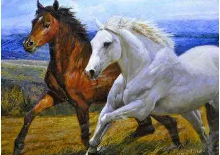 8年属马42岁以后财运,1987年属兔2022