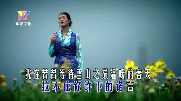 1、西海情歌降央卓瑪原唱歌詞:求降央卓瑪的《西海情歌》