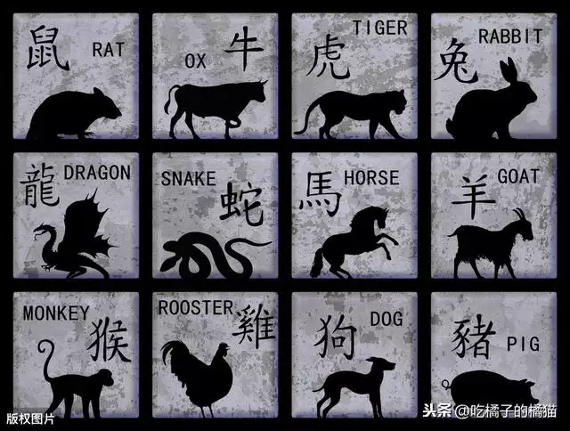 看屬相配婚姻能信嗎,婚姻生肖屬配靠得住嗎