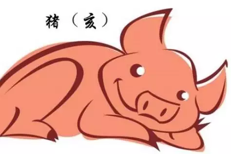 2、运势生肖猪:生肖猪婚姻爱情配对运势说一下吧？