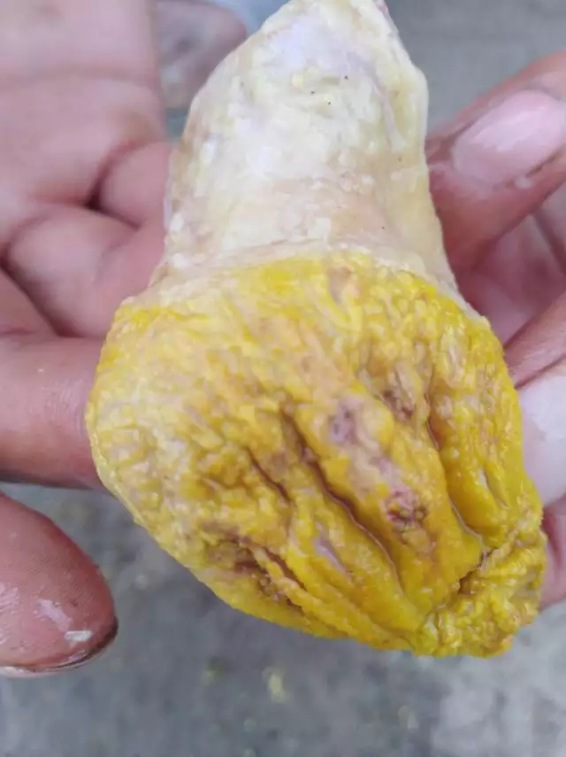 為什麼兩隻羊活不長，猴跟羊活不長什麼意思
