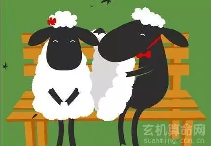 屬羊的最配什麼屬相，屬羊男和什麼屬相最配對