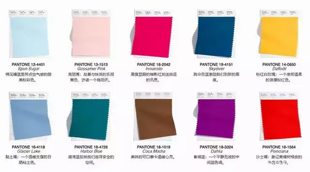 022最全生肖代表總匯圖片，2022年什麼命"