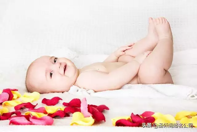 小孩子乳名大全牛宝宝，2022 牛年宝宝起名乳名