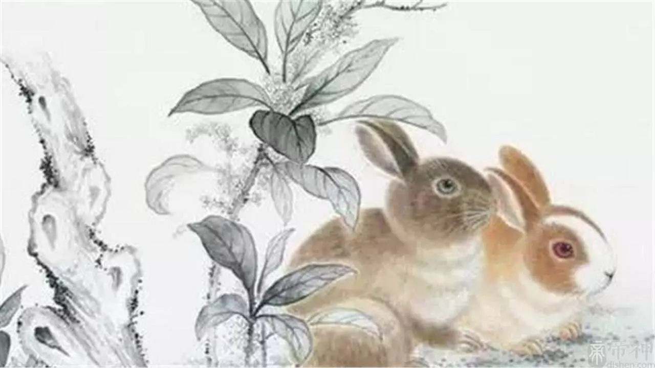 2、兔女和龙男相配吗婚姻:属龙男和属兔女结婚合适吗?