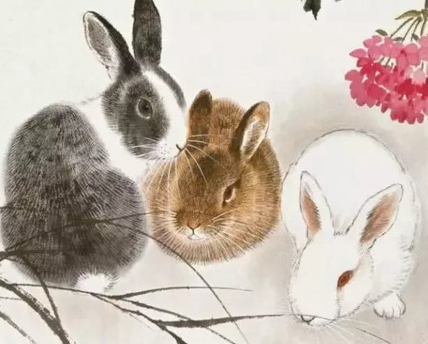 2、年属兔的婚姻:年属兔的女人对婚姻一般是怎么想的