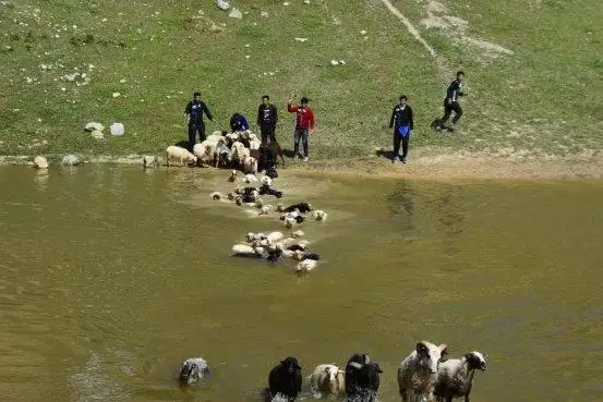 乾隆戊辰年是公元多少年