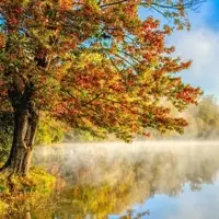 3、風水上**的微信頭像有哪些:風水上**的微信頭像微信頭像提升運氣，是真的嗎？