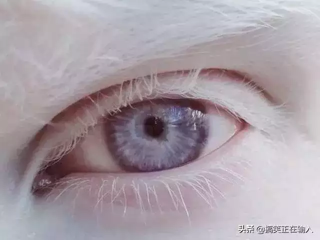 測名字兩人適不適合在一起，姓名測試兩人關係
