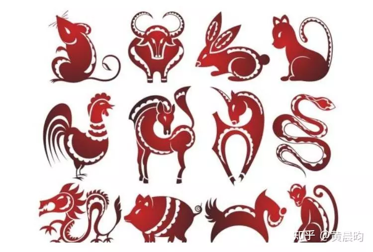 4、十二生肖真动物图片:求解这个图片…十二生肖里面的那个动物…