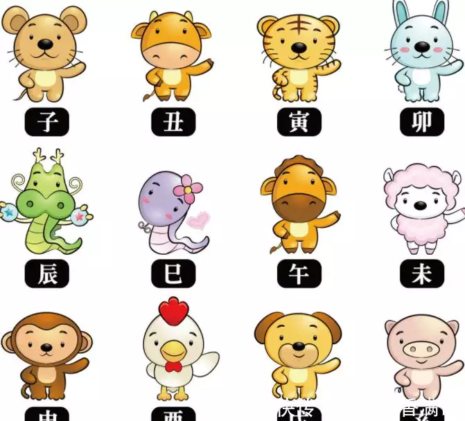 屬蛇和屬羊的人相配嗎,91年屬羊女的和屬蛇男