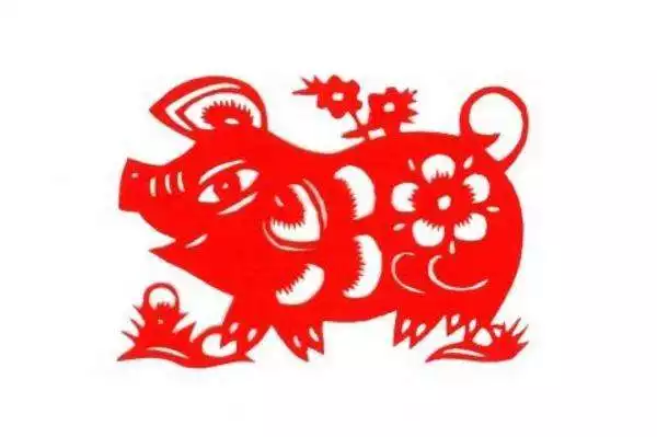 995年幾月豬命好，95年屬豬26歲婚姻狀況"