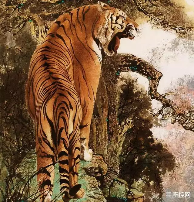 屬虎在什麼方位發展比較順利,生肖虎適合在什麼方位發展