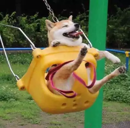 柴犬情侶頭像捏臉