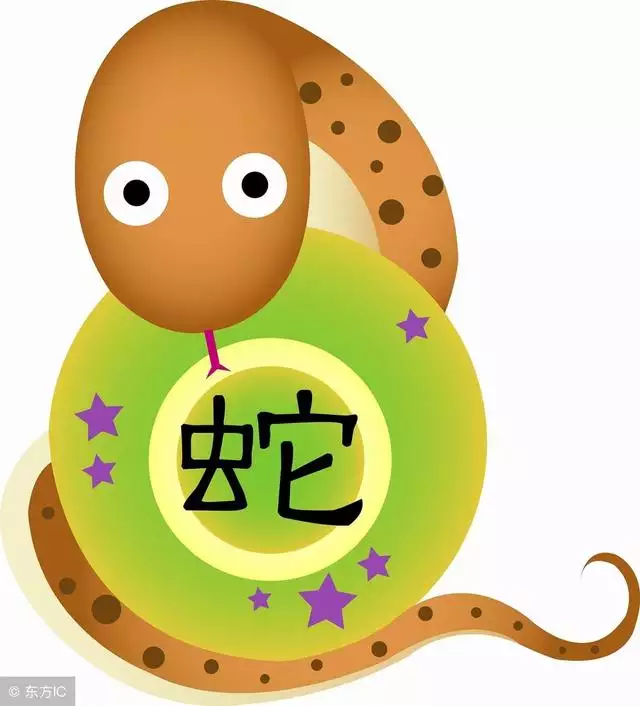 卯兔與巳蛇合婚嗎，男兔女蛇是幾等婚