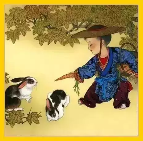 生肖虎與兔相剋嗎，什麼生肖與虎兔相合