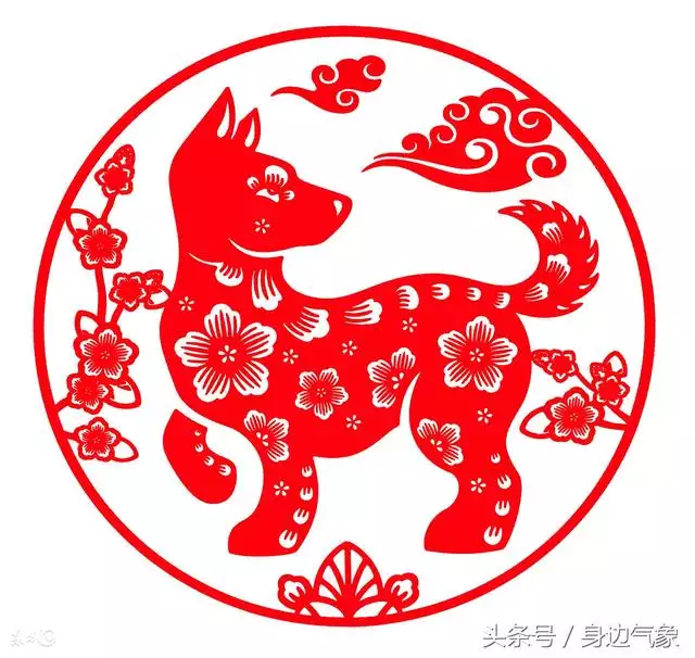 男狗女兔的婚姻與財運，男狗女馬屬相結婚合適嗎