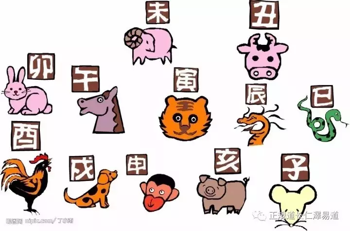 4、幾月份的蛇與豬不相衝:幾月份的蛇與豬不相衝