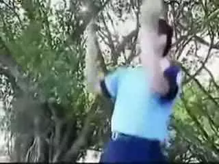 完美五行健康体操