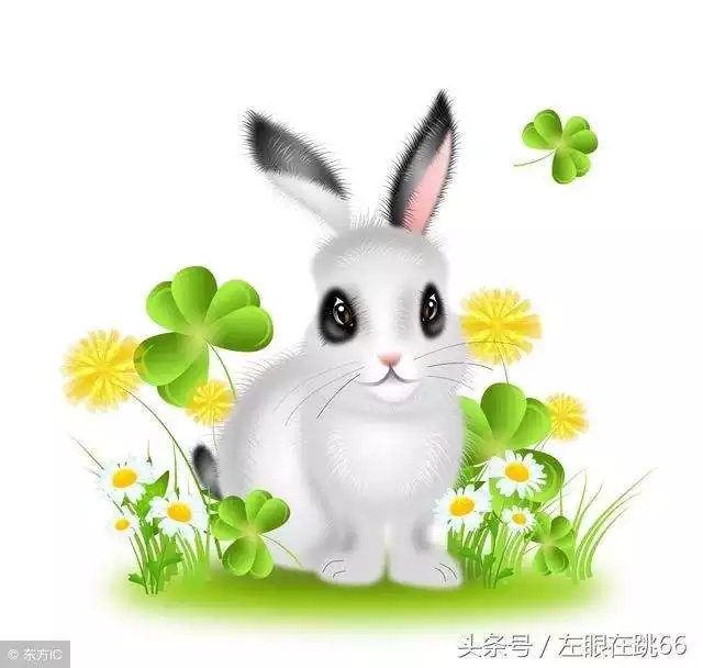哪一年屬兔的人命運更好，75年屬兔人2022 年運氣