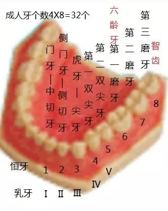 76年属龙45岁命运男：吉祥堂属龙人在年健康方面如何？