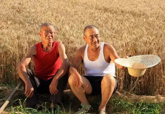 屬羊的人是不是克人，羊跟什麼屬相衝
